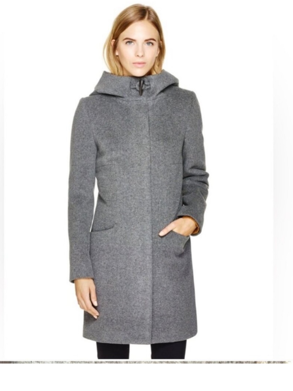 Aritzia Babaton Pearce Wool Coat